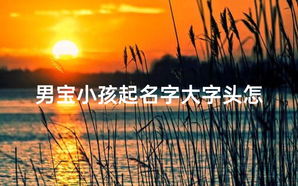 男宝小孩起名字大字头怎么起
