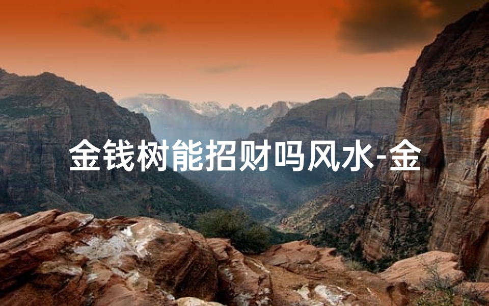 金钱树能招财吗风水-金钱树风水:揭秘招财旺运的秘密法宝