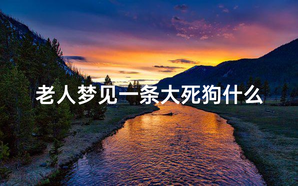 老人梦见一条大死狗什么预兆,老年人梦到狗追咬是什么意思
