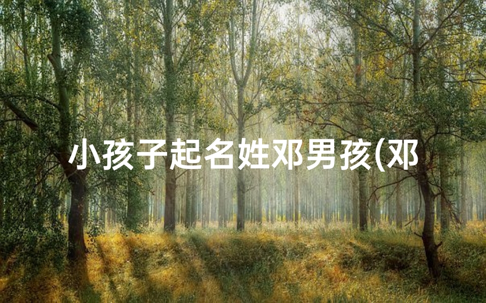 小孩子起名姓邓男孩(邓家宝贝:萌娃取名记)