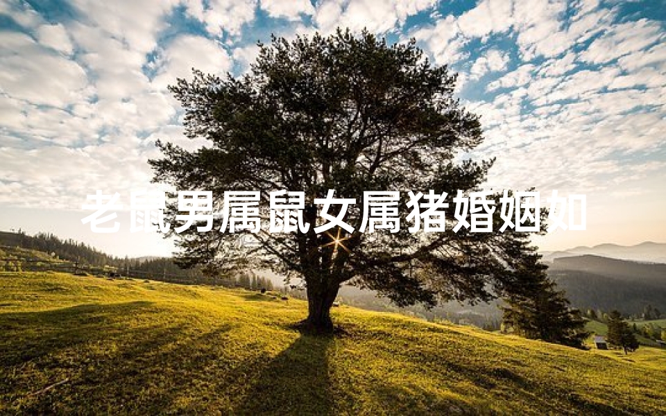 老鼠男属鼠女属猪婚姻如何