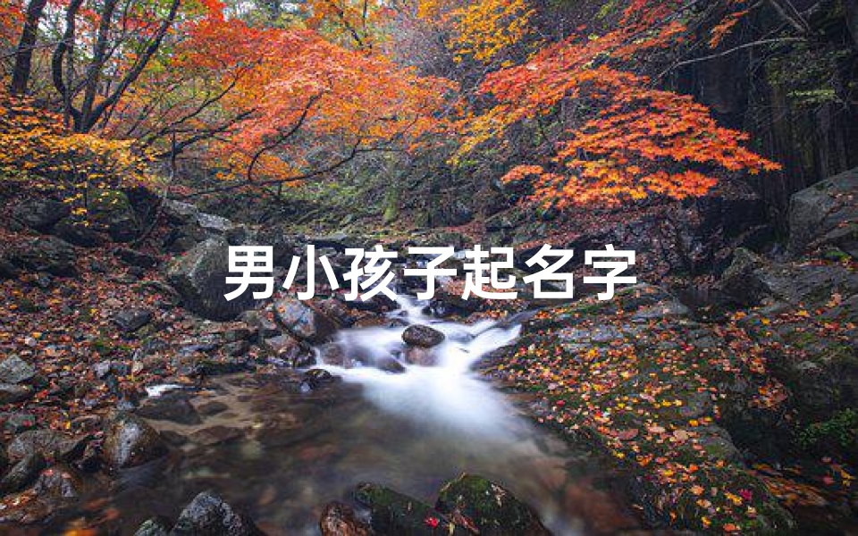 男小孩子起名字