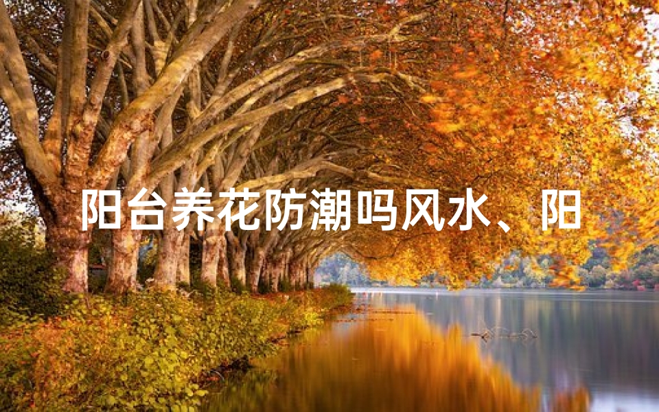 阳台养花防潮吗风水、阳台养花怎么防漏水