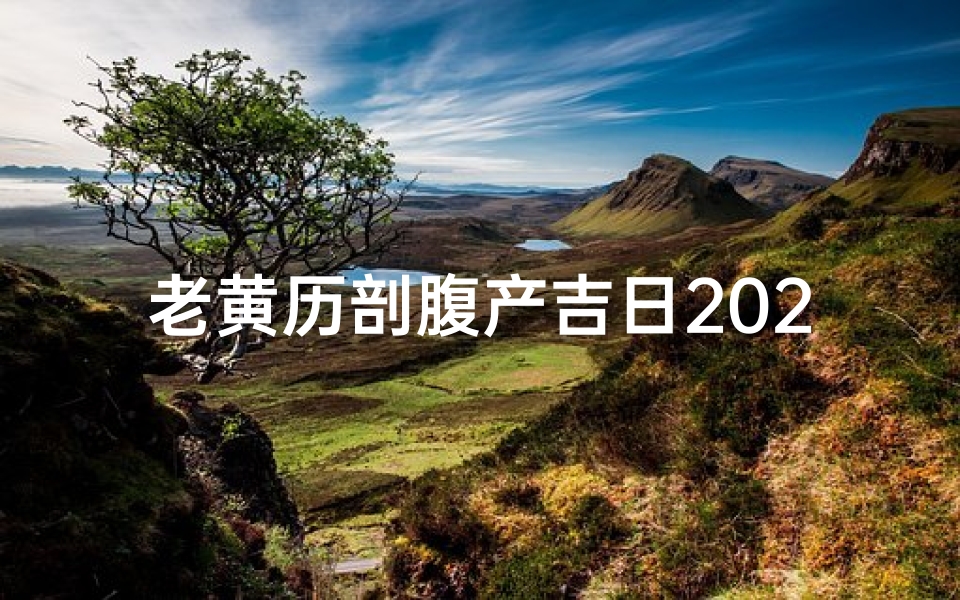老黄历剖腹产吉日2024年