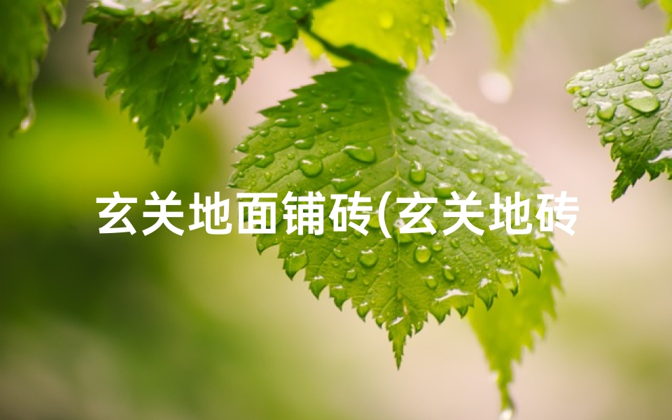 玄关地面铺砖(玄关地砖不贴风水影响大吗?美观与运势如何权衡?)