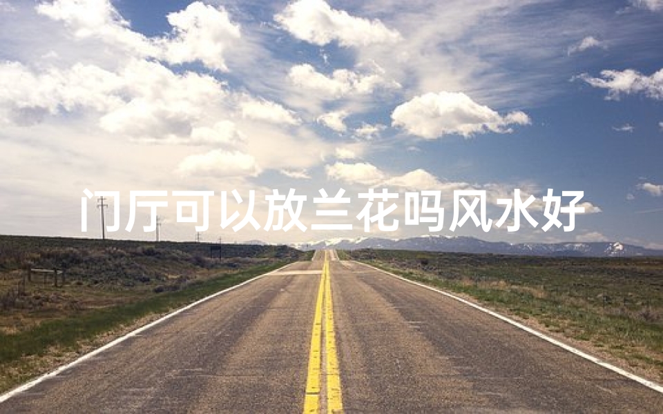 门厅可以放兰花吗风水好吗_进门口放兰花草好吗