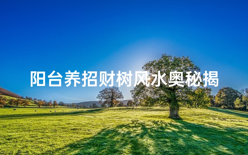 阳台养招财树风水奥秘揭秘