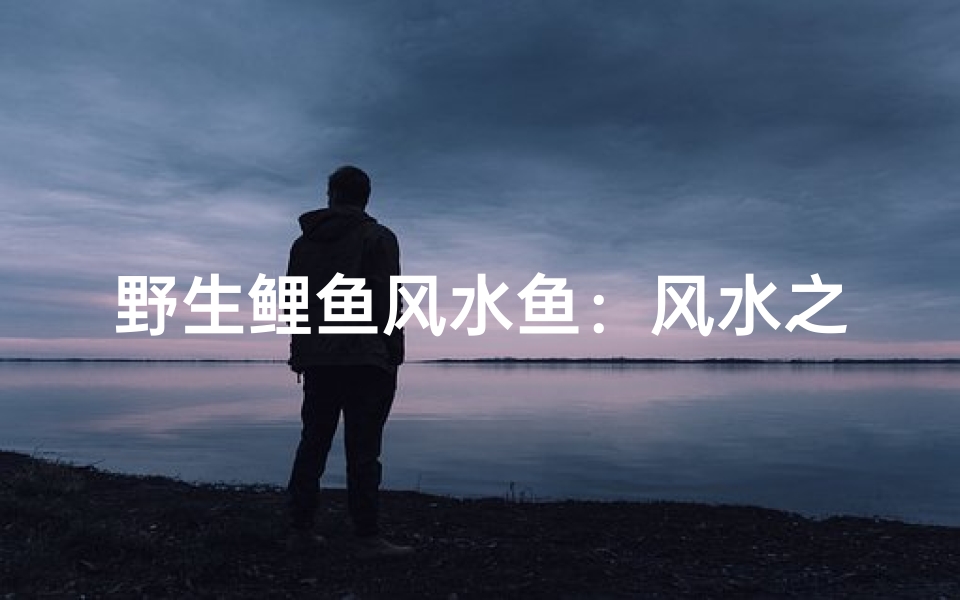 野生鲤鱼风水鱼:风水之选还是观赏佳品?