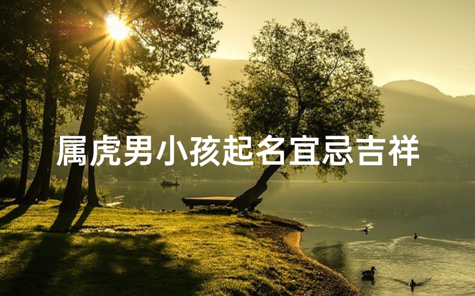 属虎男小孩起名宜忌吉祥—属虎男小孩起名宜忌:吉祥如意好名字精选