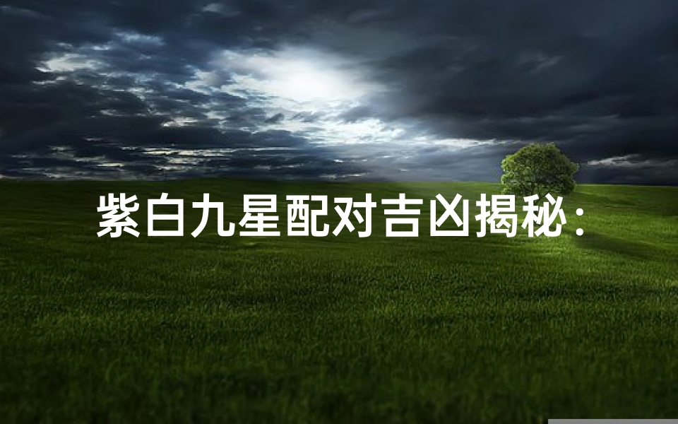 紫白九星配对吉凶揭秘:图片大全全解析