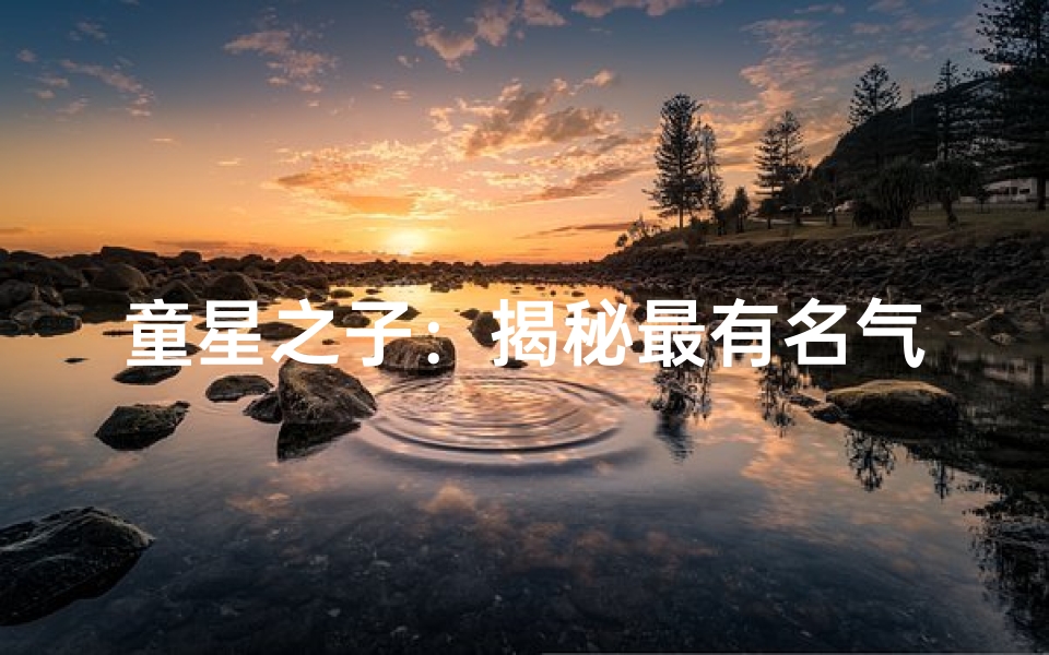 童星之子:揭秘最有名气小孩的男孩名字之谜