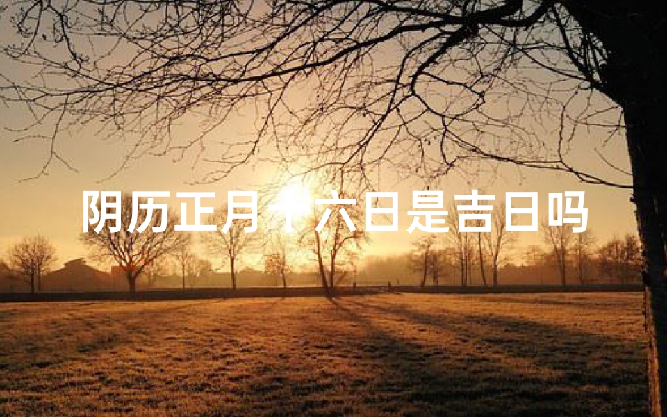 阴历正月十六日是吉日吗