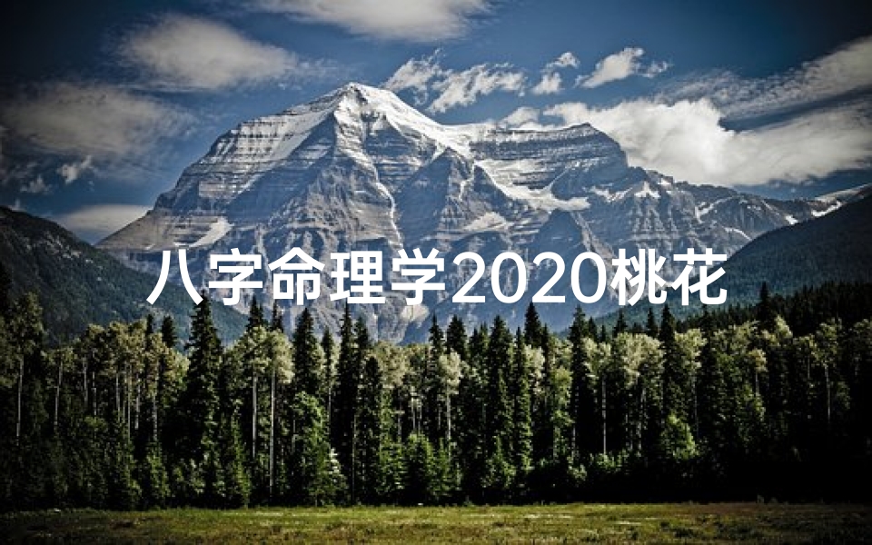 八字命理学2020桃花运;八字命理学2020桃花运势