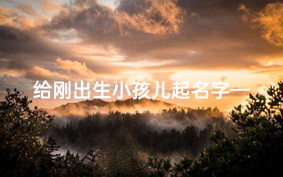 给刚出生小孩儿起名字—新生儿起名：寻找最美好的名字之旅