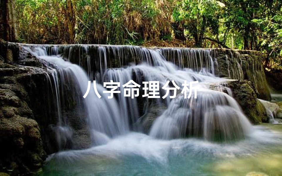 八字命理分析