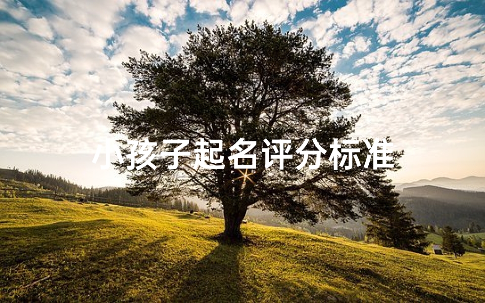 小孩子起名评分标准