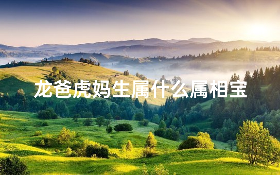龙爸虎妈生属什么属相宝宝;龙爸虎妈宝宝属相揭晓-优贝算卦网