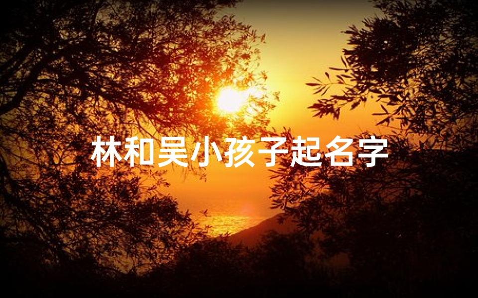 林和吴小孩子起名字