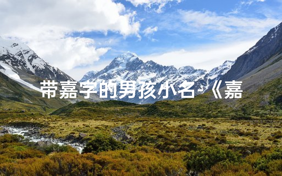 带嘉字的男孩小名-《嘉宝童趣:四字佳名汇聚,传承美好寓意》