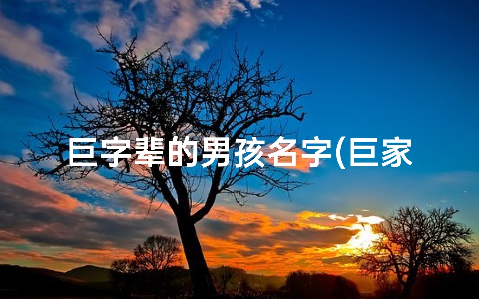 巨字辈的男孩名字(巨家宝贝：男孩名字里的独特韵味)