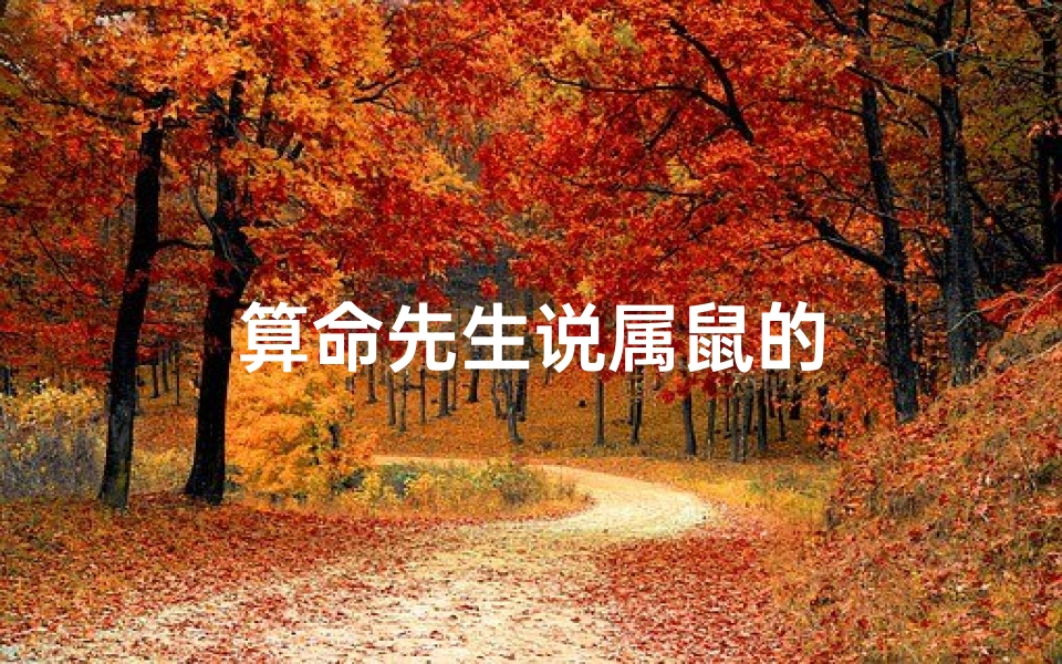 算命先生说属鼠的