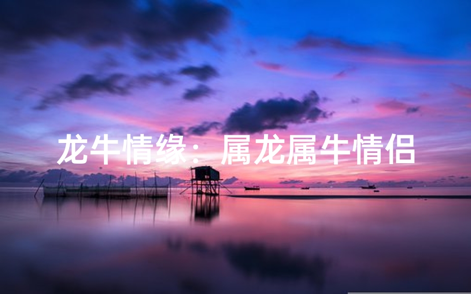 龙牛情缘:属龙属牛情侣的甜蜜故事
