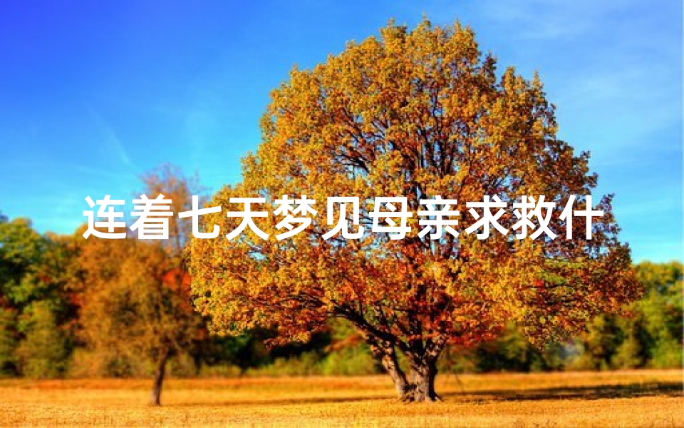 连着七天梦见母亲求救什么意思、连续三天梦见母亲