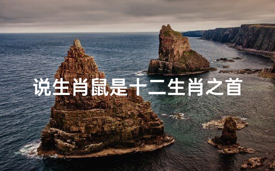 说生肖鼠是十二生肖之首