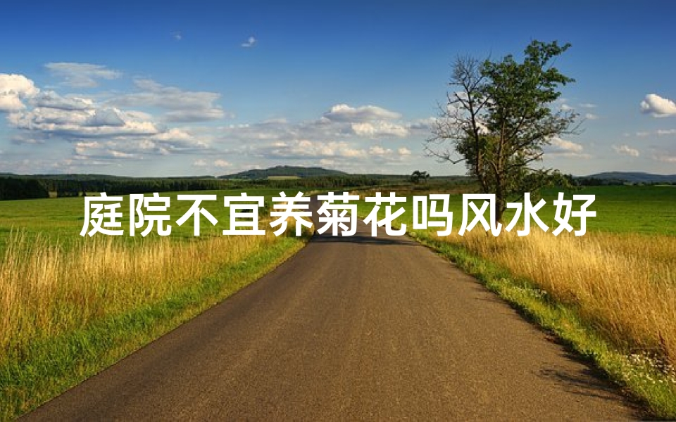 庭院不宜养菊花吗风水好吗,庭院养菊风水考究:宜忌解析