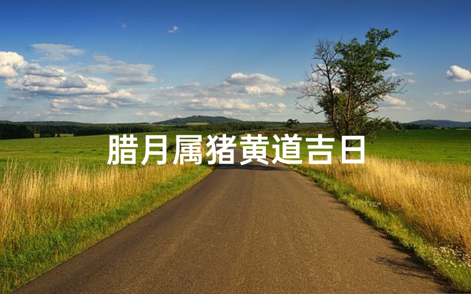 腊月属猪黄道吉日
