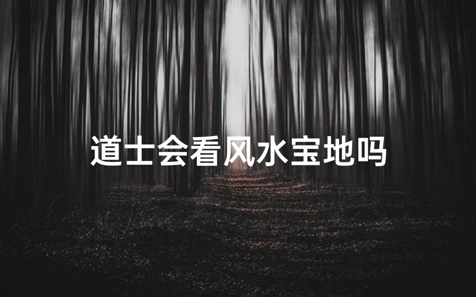 道士会看风水宝地吗