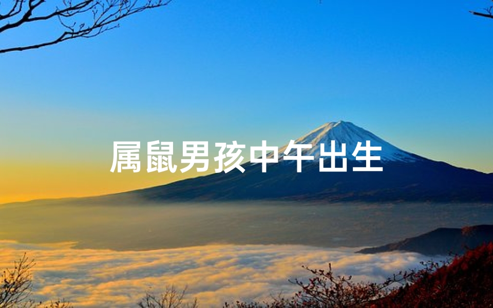 属鼠男孩中午出生