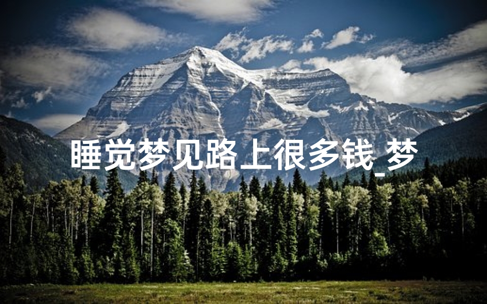 睡觉梦见路上很多钱_梦见路上有好多钱