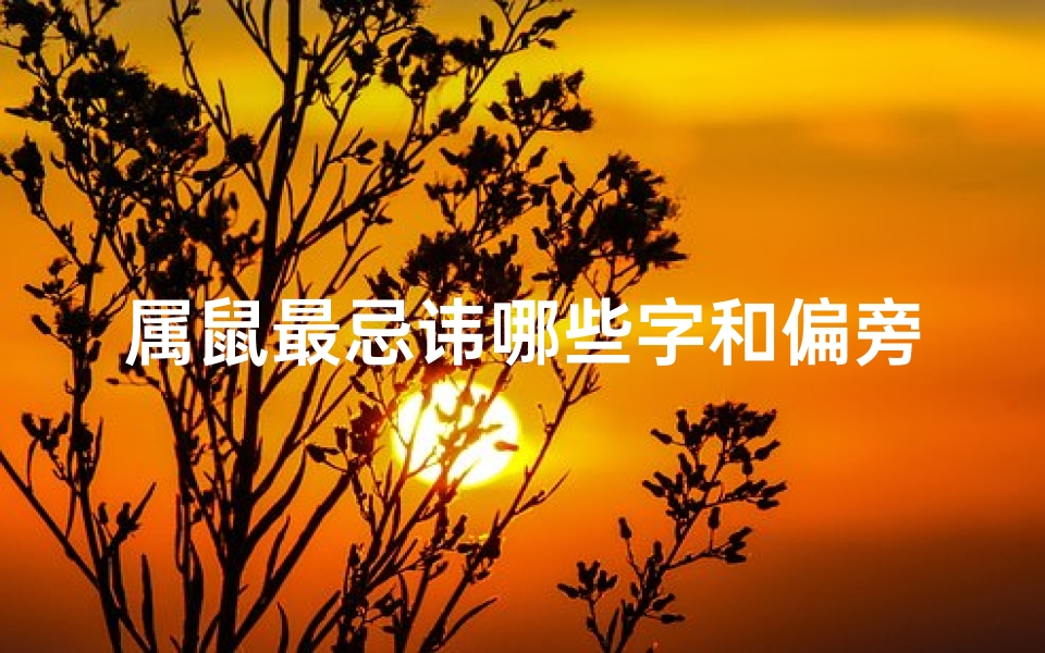 属鼠最忌讳哪些字和偏旁—属鼠人慎用偏旁:哪些部首不宜选用?