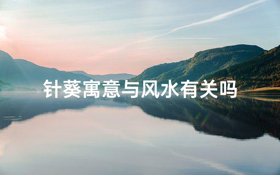 针葵寓意与风水有关吗