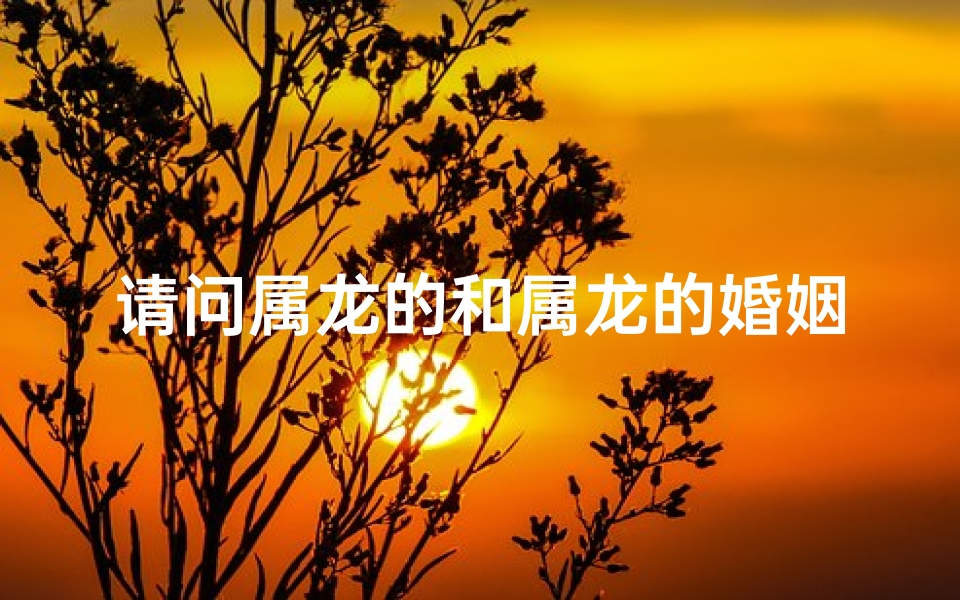 请问属龙的和属龙的婚姻怎么样?,属龙配属龙,幸福婚姻秘诀大公开-优贝算卦网