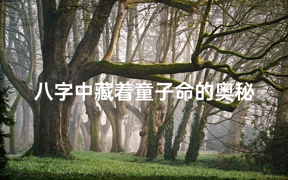 八字中藏着童子命的奥秘