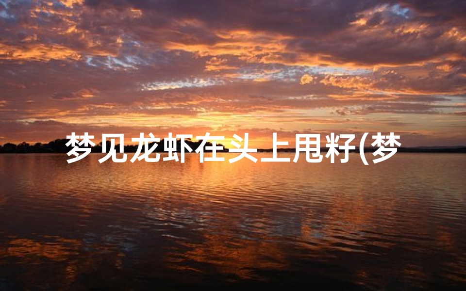 梦见龙虾在头上甩籽(梦见大龙虾头)