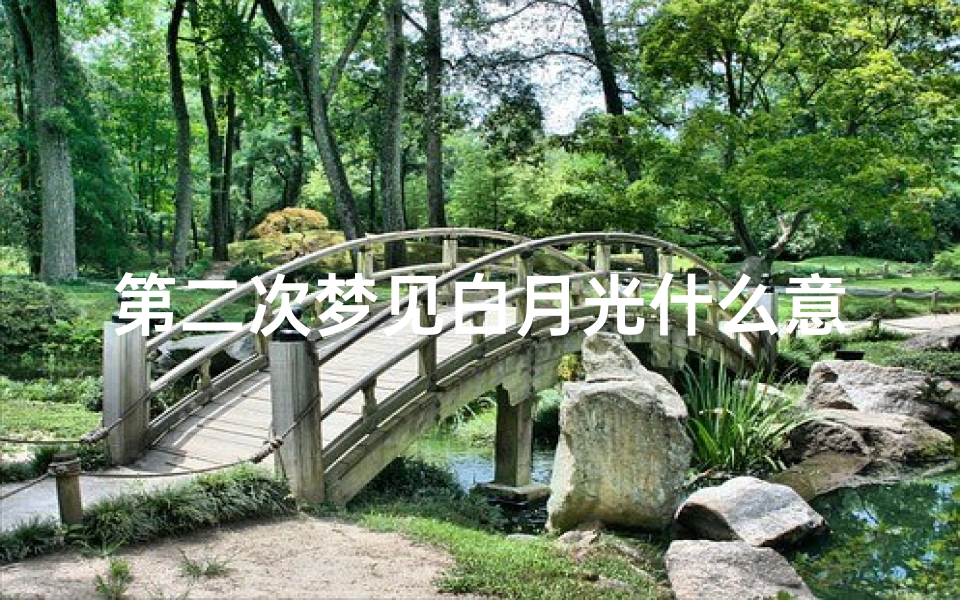 第二次梦见白月光什么意思(梦到白月光)