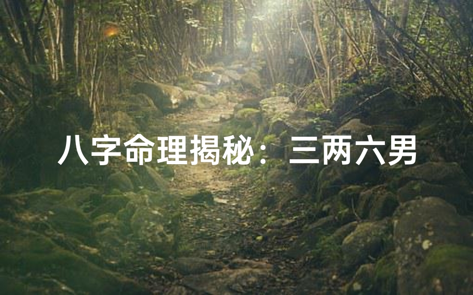 八字命理揭秘:三两六男命运势解析