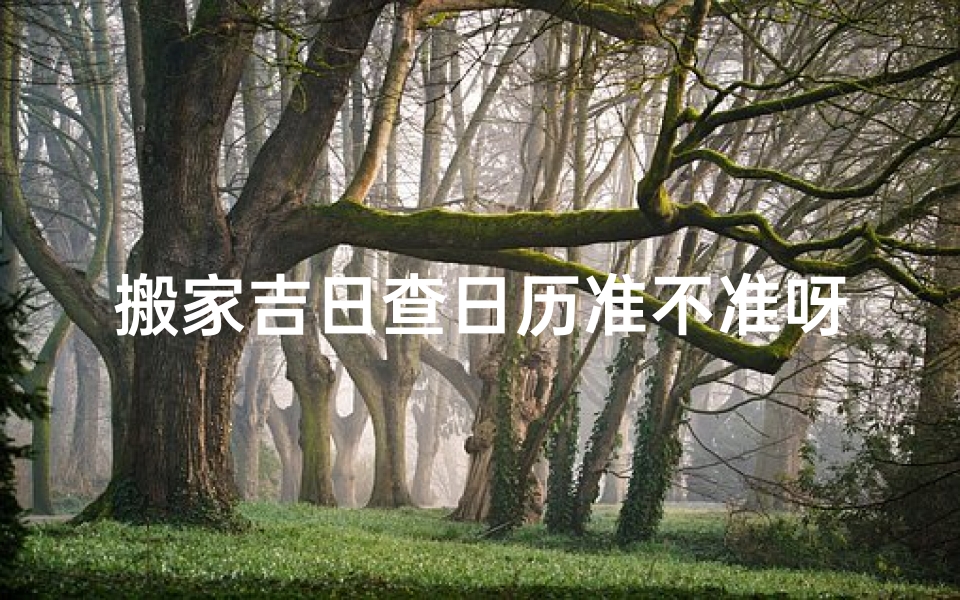 搬家吉日查日历准不准呀