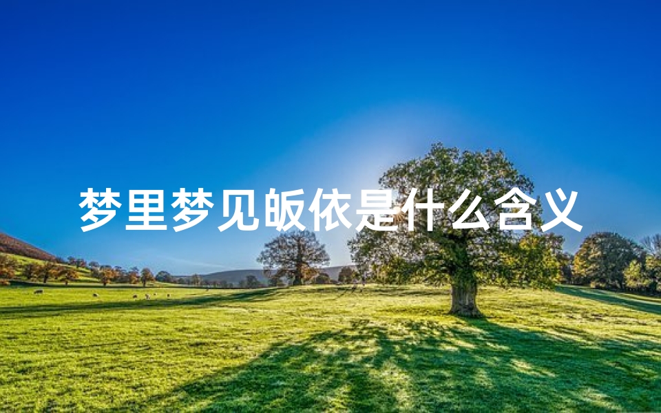 梦里梦见皈依是什么含义-做梦梦到皈依证
