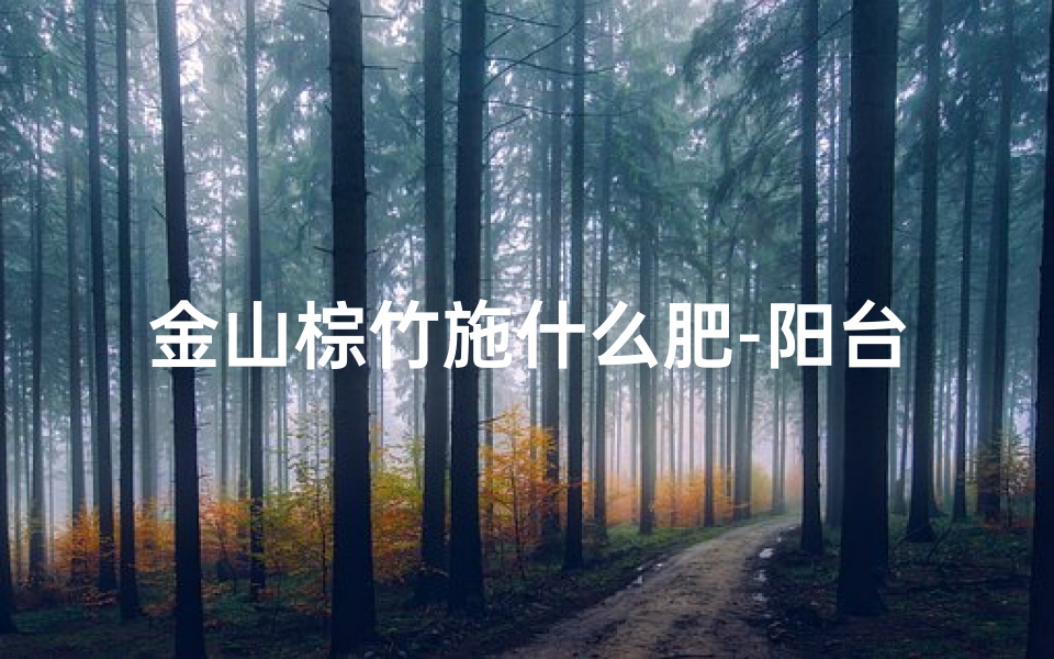 金山棕竹施什么肥-阳台种金山棕竹旺风水,家居运势更上一层楼