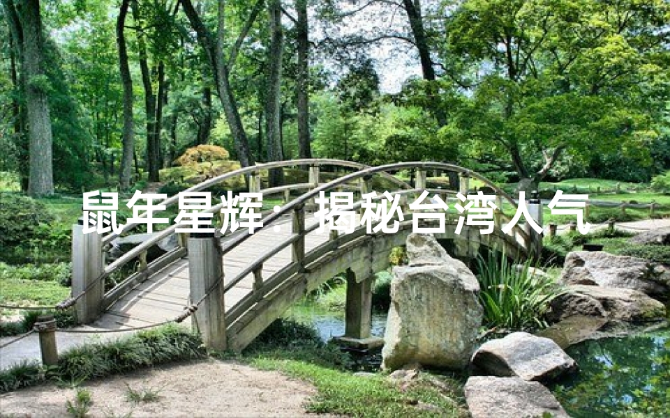 鼠年星辉:揭秘台湾人气男星背后的故事