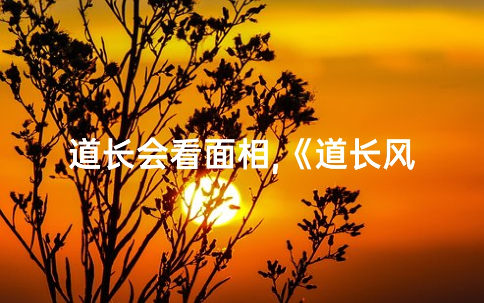 道长会看面相,《道长风水秘术:揭秘神秘风水世界》