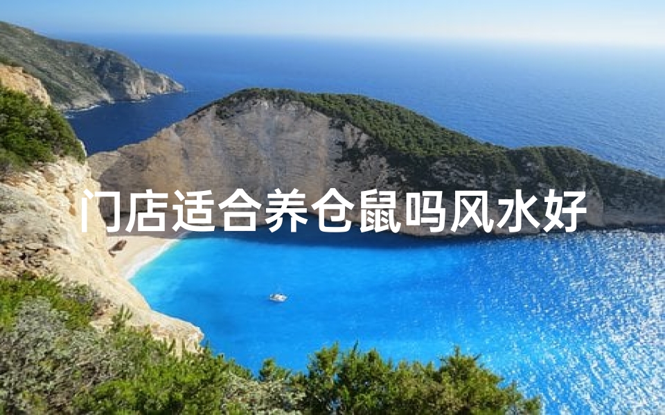 门店适合养仓鼠吗风水好吗