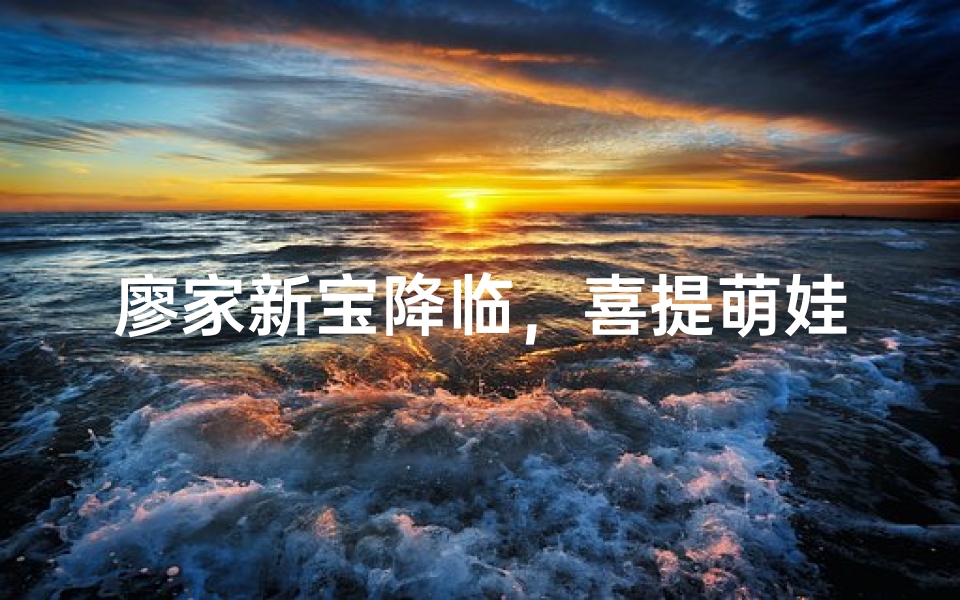 廖家新宝降临,喜提萌娃取名记