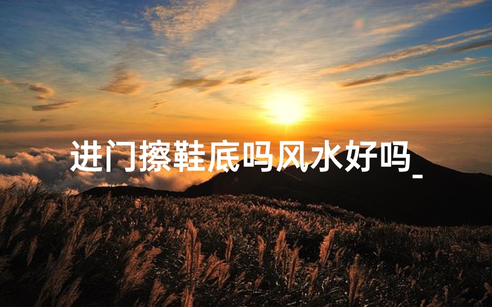 进门擦鞋底吗风水好吗_进门清理鞋底