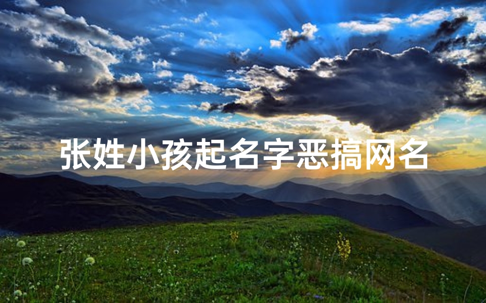 张姓小孩起名字恶搞网名-《张姓萌娃恶搞昵称大盘点,笑料百出》-优贝算卦网