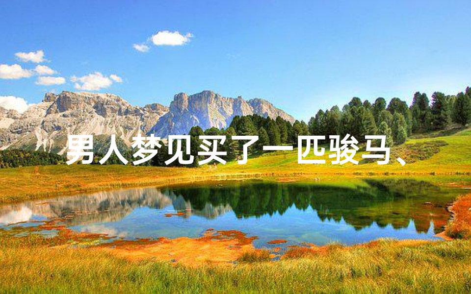 男人梦见买了一匹骏马、梦见买了一匹好马